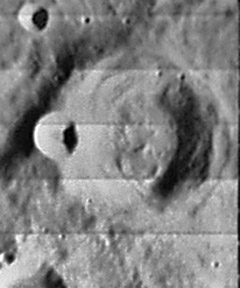 external image Cichus-IV131-h3.jpg