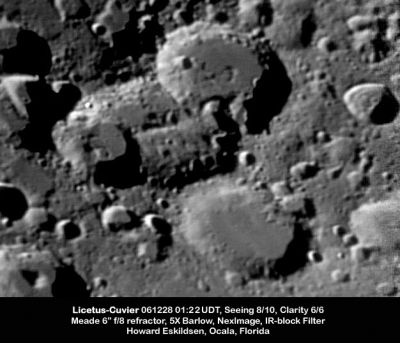 external image normal_Licetus-Cuvier%20061228%200122.jpg